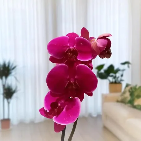 Duomo Cathedral * 밀라노