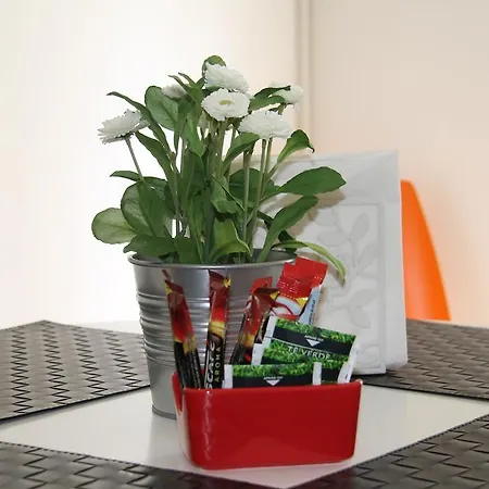 Stephenson Apartment *