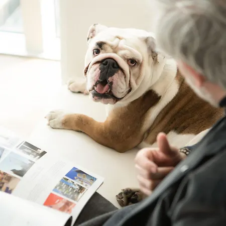 Innside By Melia Torre Galfa Hotel