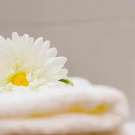 Ma08a Beautiful Flat With Terrace In Pta Nuova Apartment