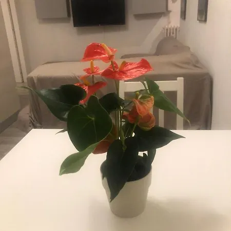 Appartement Ampio A 5 Minuti Dal Duomo!