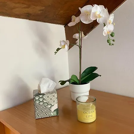 Appartamento Lavandai *