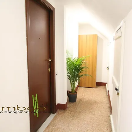 Bamboo Colletta * Milano