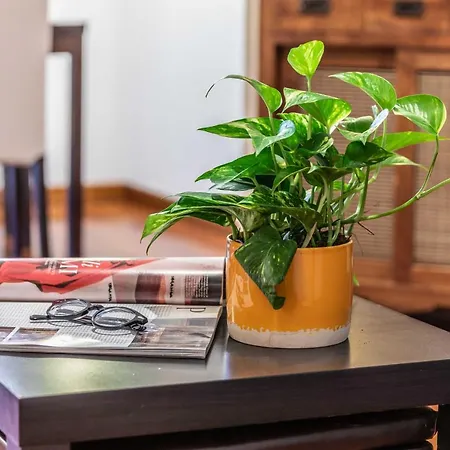 Prada House - Posto Auto Coperto *