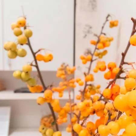 Italianway Easy - Melzo 24 Milán