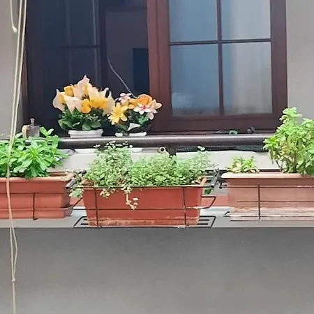 Lejlighed N&ghomesweethome Raffaelloelegante Ideale Affari