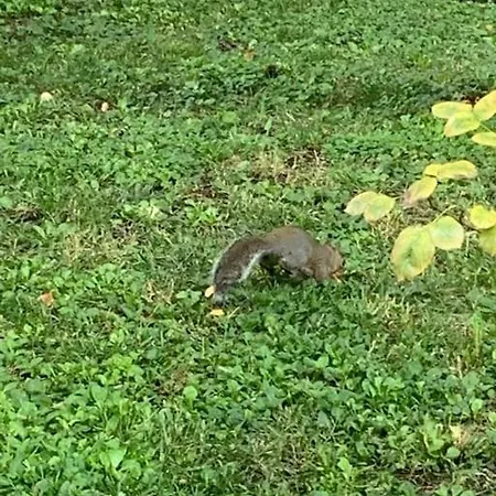 Cozy 1-room In Giambellino Milano