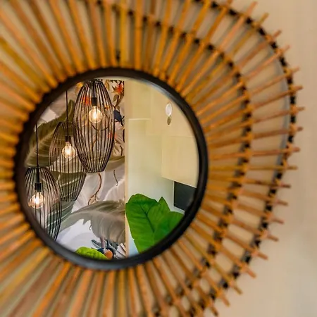 Experience - Jungle Apartment