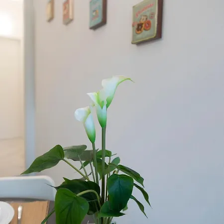 Santa Marta Apartamento Milán