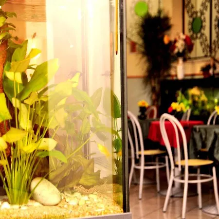 圣西罗菲耶拉酒店 酒店 米兰