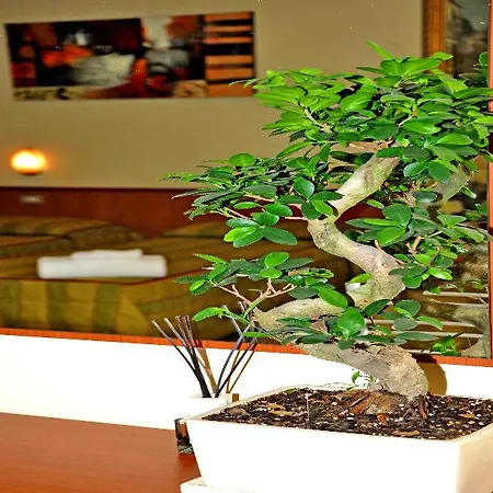 圣西罗菲耶拉酒店 2*