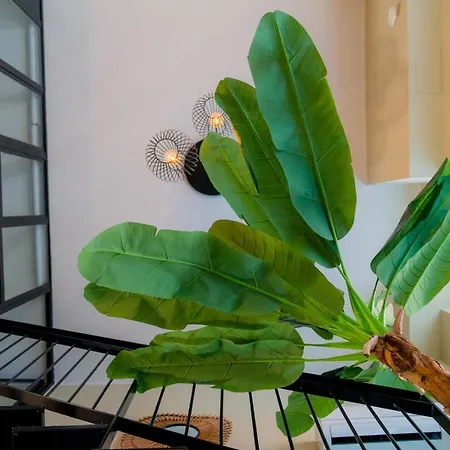 Experience - Jungle Милан