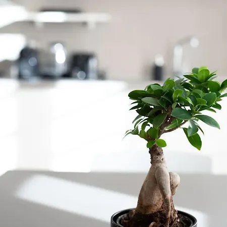 Apartmán Apt. Linate - Duomo A 10 Minuti Milán