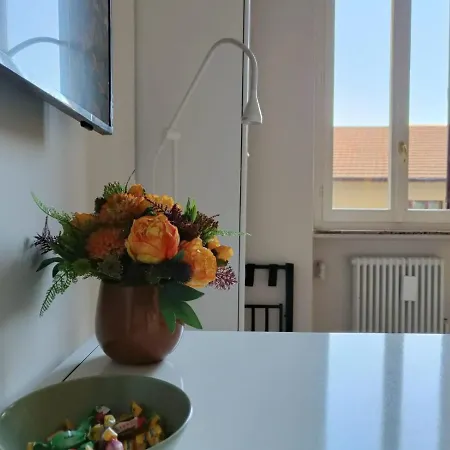 A Look From The Window *