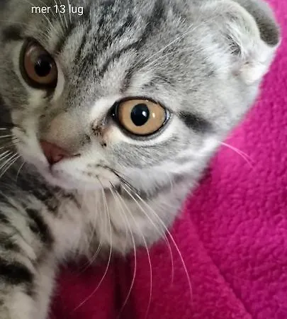 Stanza Nr 2 In Zona Solari In Incantevole Guest house