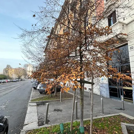 The Small White House In *