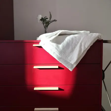 Loft Ristrutturato Vicino M4 Argonne - San Benigno *