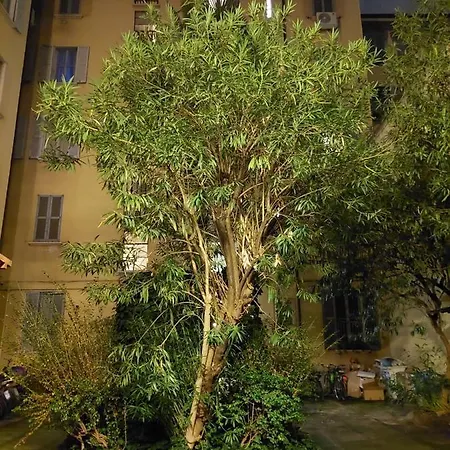 Donatello Casa de hóspedes Milão