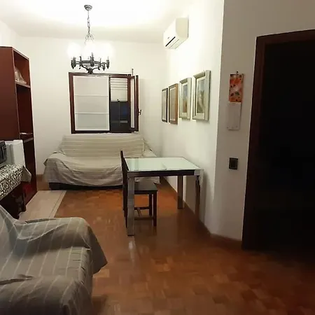 With Private Bathroom Apartment