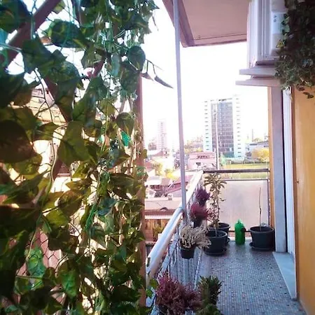 C&c - Cozy And Cute Милан