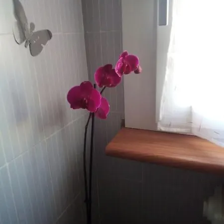 Apartamento C&c - Cozy And Cute *