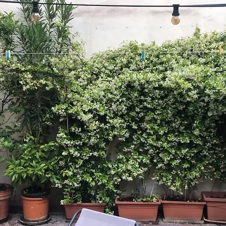 Sempione Yellow Apartment *