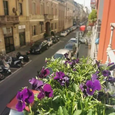 Mini Sarpi