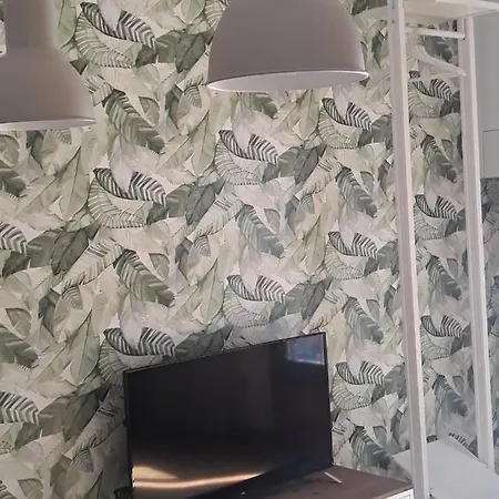 Apartment Casetta 