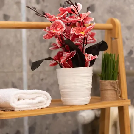 Apartment Santa Marta