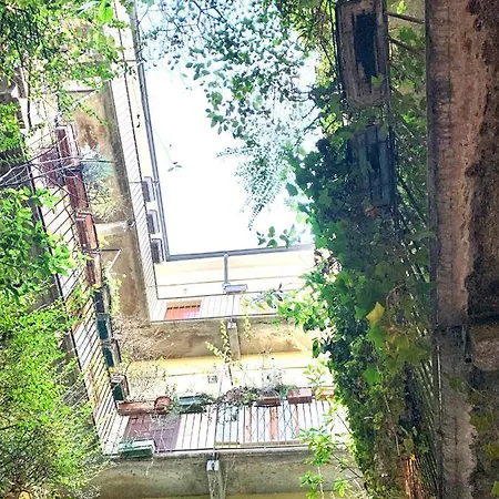 Canal View Historical