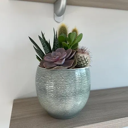 Suitesettepesciolini - Casa Zoe * ميلان