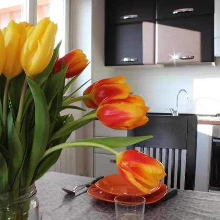 View Living Apartman