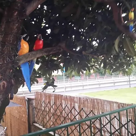 Vicino Allo Stadio Di San Siro E Alla Fiera Apartamento *