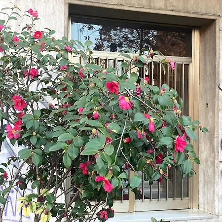 House Viale Murillo מילאנו