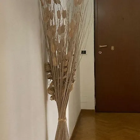 Apartament City House Viale Murillo *