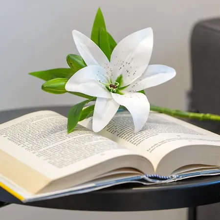 Lejlighed Rent - Amazing - Pta Venezia *