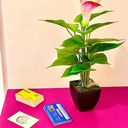 Cosy And Lovely Flat With View On Nature Apartamento