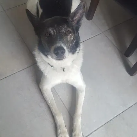 Stanza In Con Giardino Alloggio in famiglia