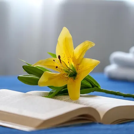 Rent - Amazing - Pta Venezia * Milano