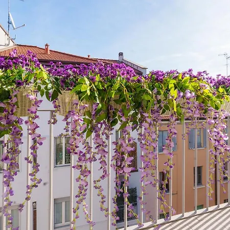 Rent - Amazing - Pta Venezia
