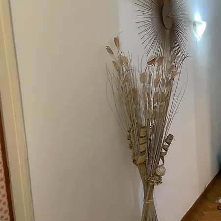 City House Viale Murillo Apartament