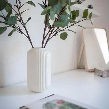 Apartment Custodi *