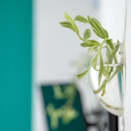 Apartment San Siro Big House Wifi Netflix Free Parking *