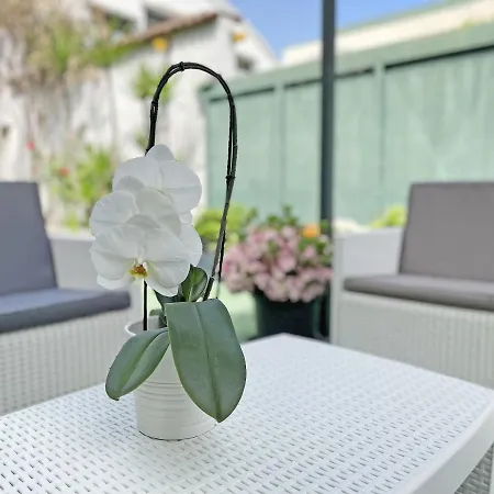 New House W/ Garden Area ⋆ Casa Con Area Giardino * Mediolan