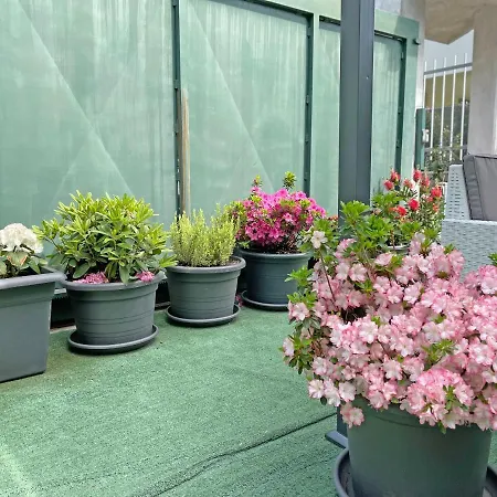 New House W/ Garden Area ⋆ Casa Con Area Giardino Apartament *