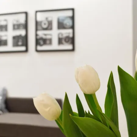 Апартаменты Easylife - Monolocale Confortevole E Rilassante Nel Quartiere Solari, Dotato Di Ogni Comfort *