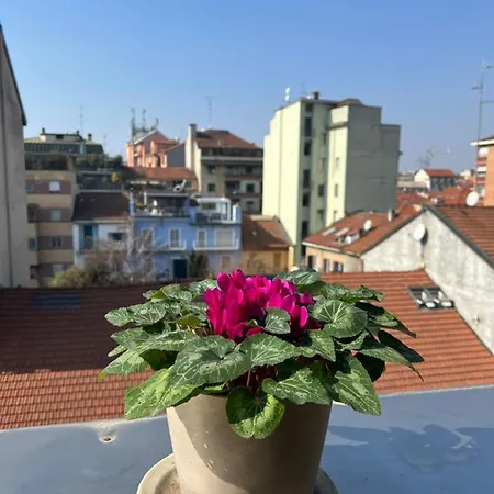 - Citta Studi Apartment *