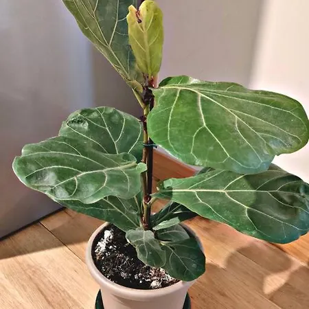 דירה Relax - Navigli