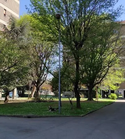 Mandala Milão