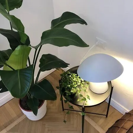 Bnbutler - Guercino, 8 - Renovated Design